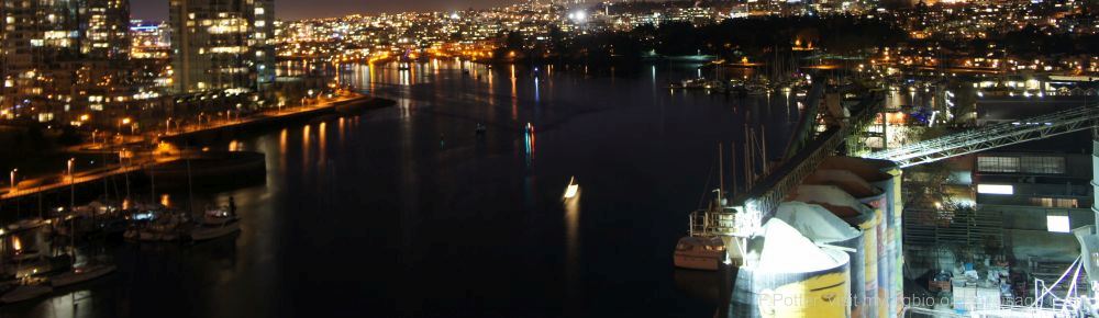 Organizational Biology