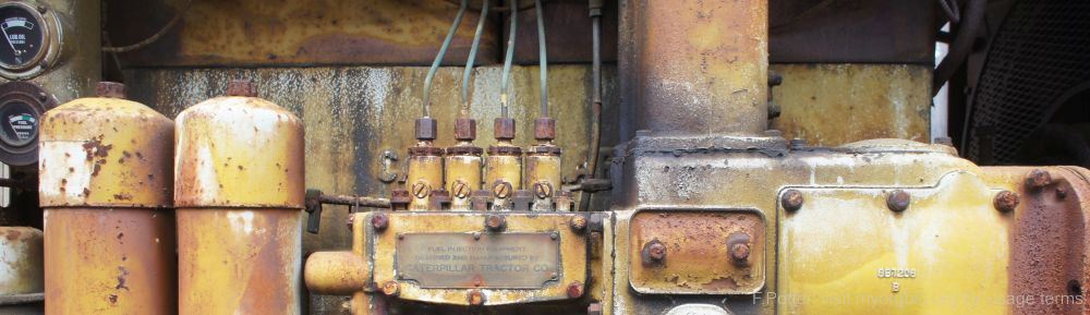 Organizational Biology