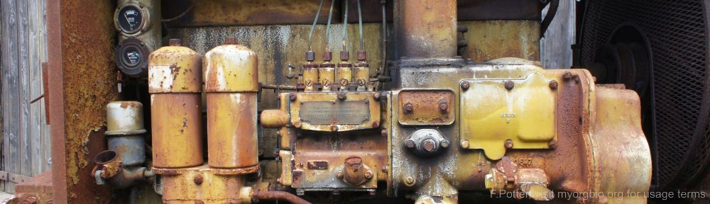 Organizational Biology