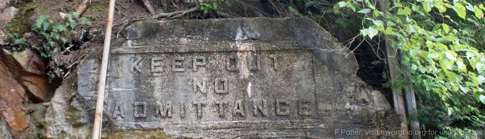 Organizational Biology