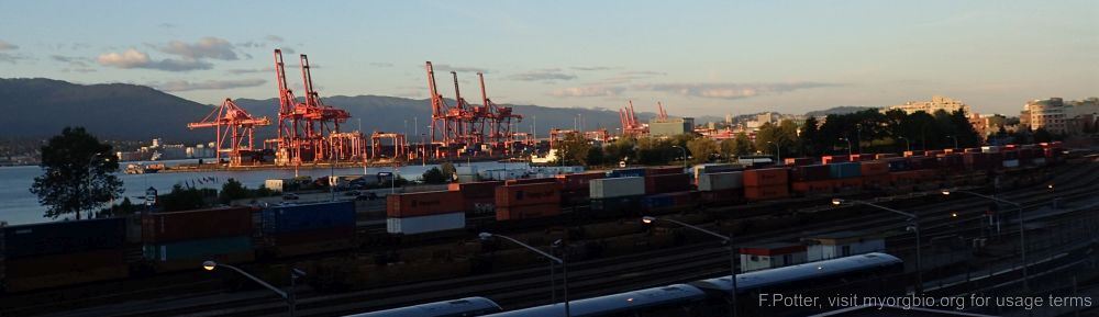 Organizational Biology