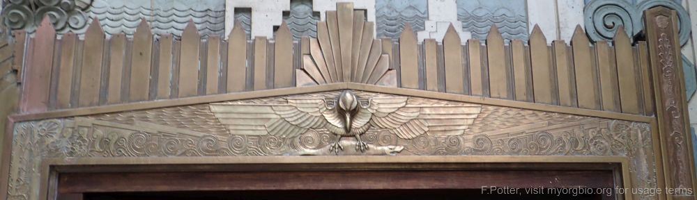 Organizational Biology