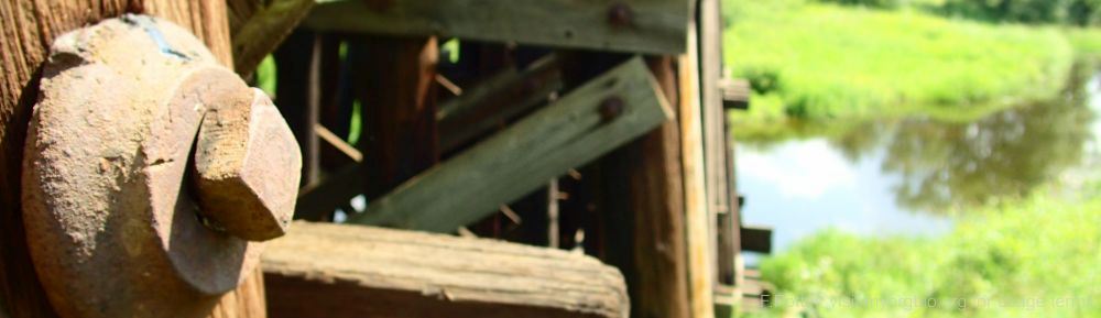 Organizational Biology