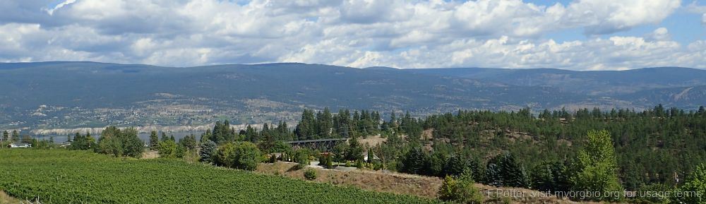 Organizational Biology