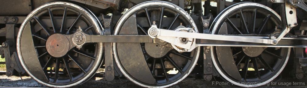 Organizational Biology