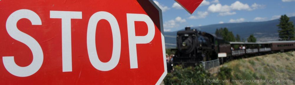 Organizational Biology