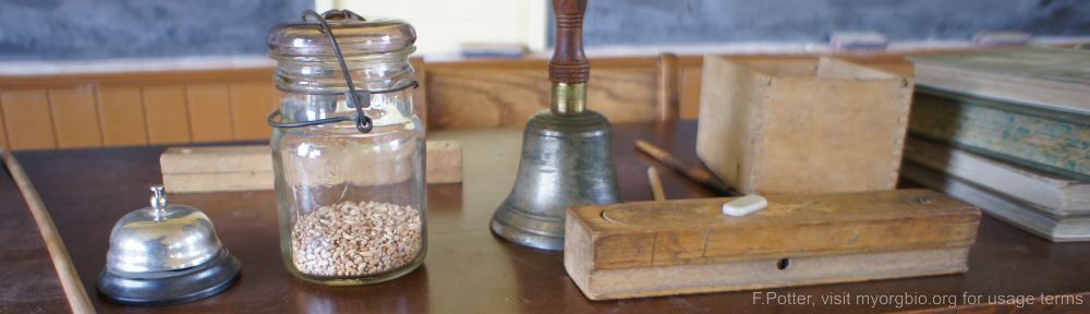 Organizational Biology