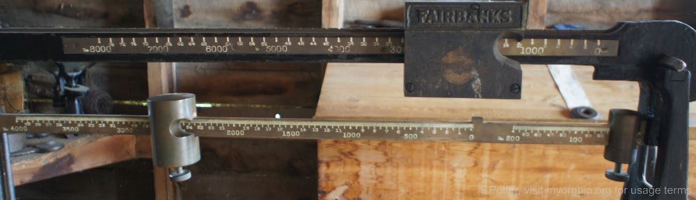 Organizational Biology