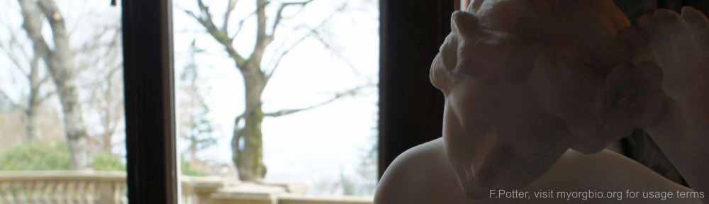 Organizational Biology