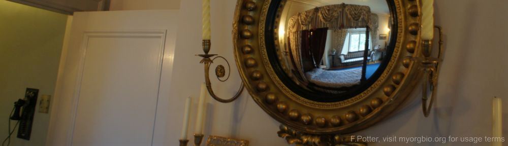 Organizational Biology