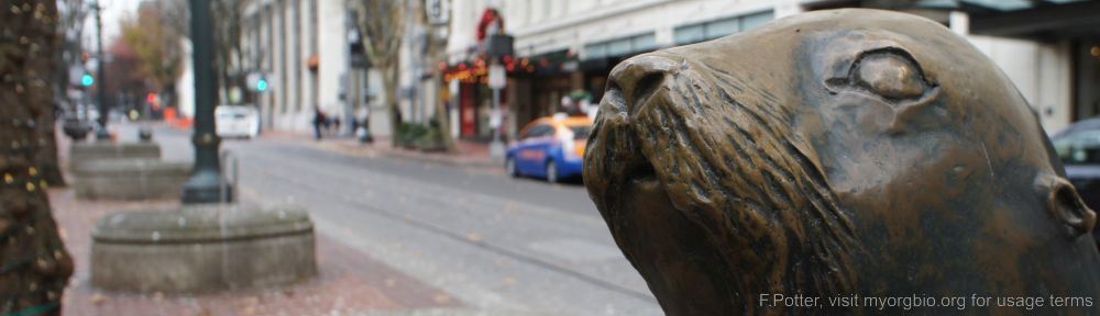 Organizational Biology