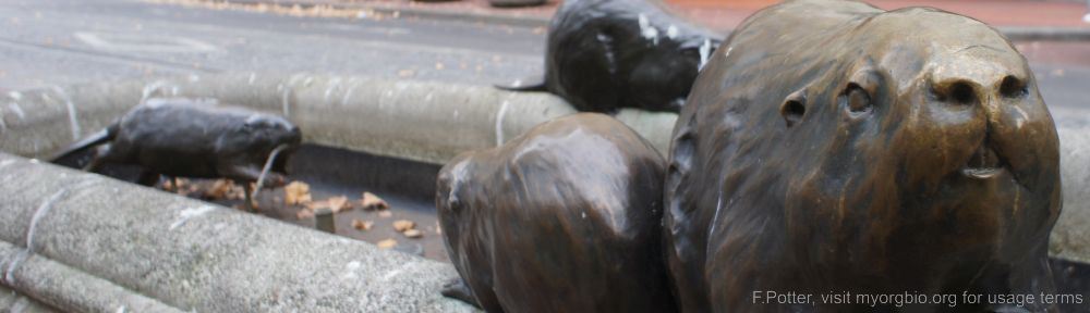 Organizational Biology