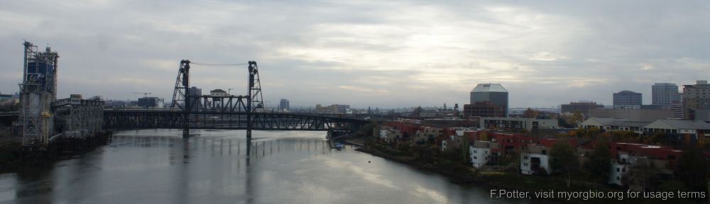 Organizational Biology