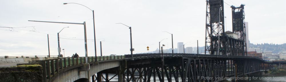 Organizational Biology