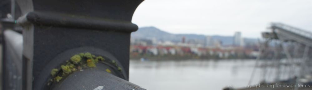 Organizational Biology