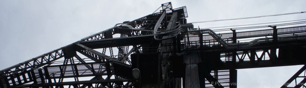 Organizational Biology