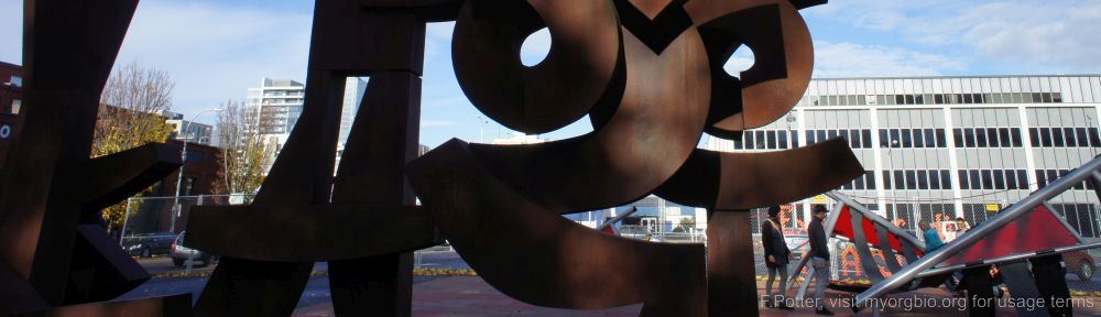 Organizational Biology