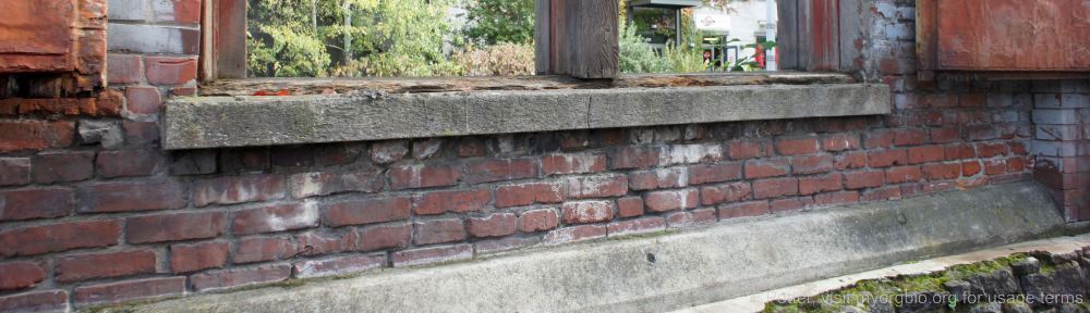 Organizational Biology