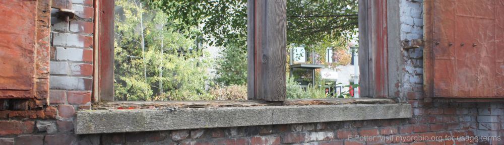 Organizational Biology