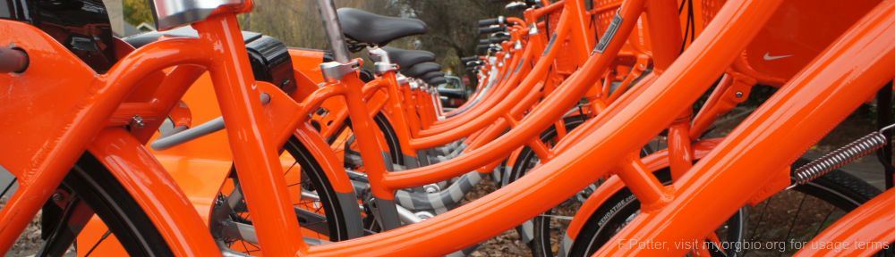 Organizational Biology