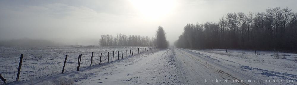 Organizational Biology