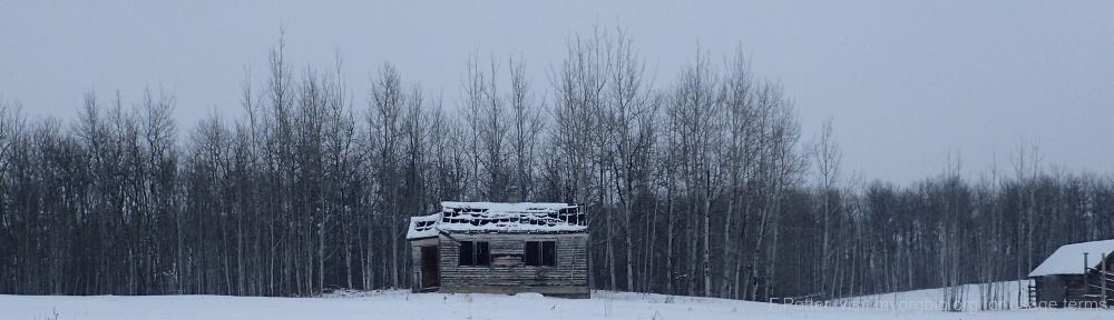 Organizational Biology