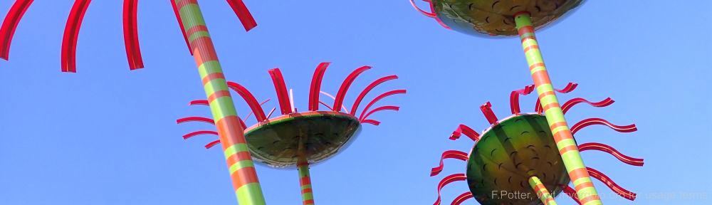 Organizational Biology