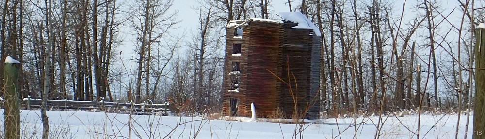 Organizational Biology