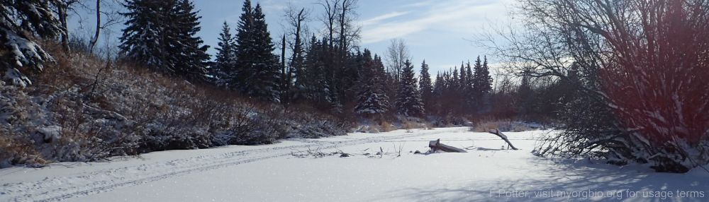 Organizational Biology