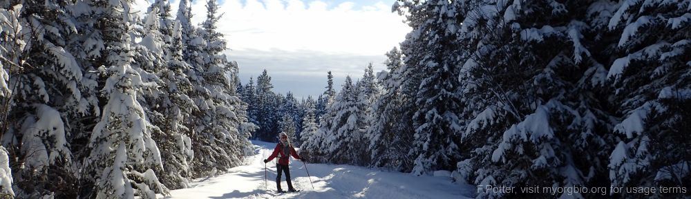 Organizational Biology