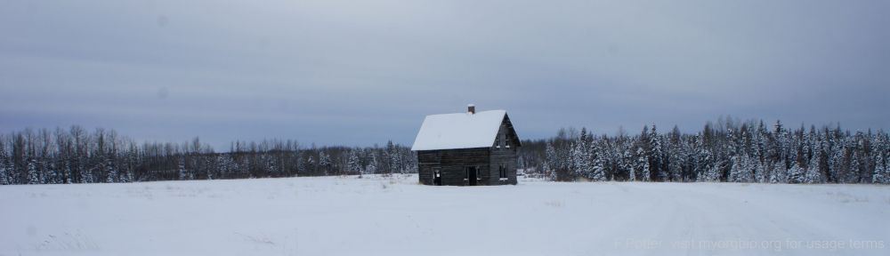 Organizational Biology