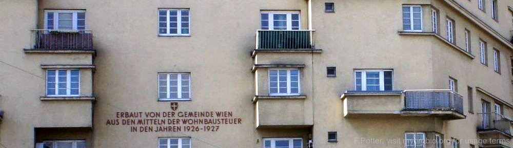 Organizational Biology