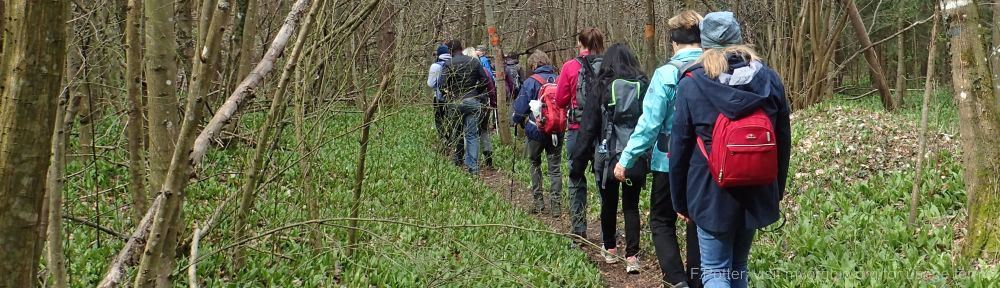 Organizational Biology