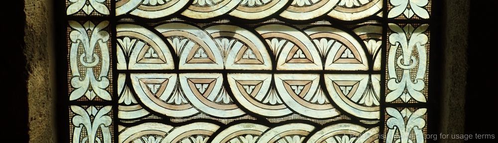 Organizational Biology