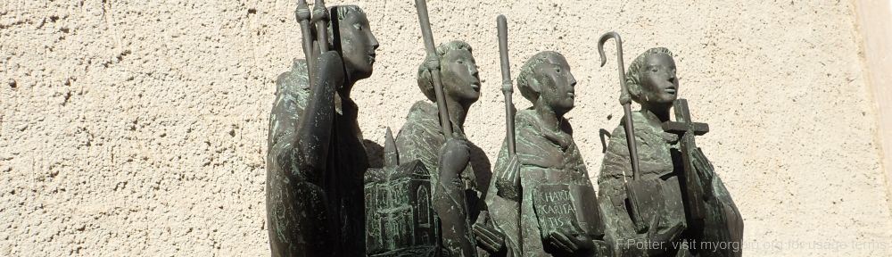 Organizational Biology