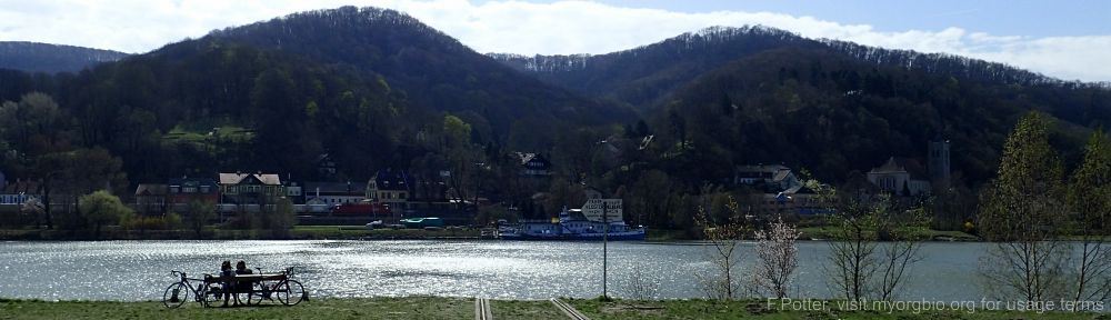 Organizational Biology