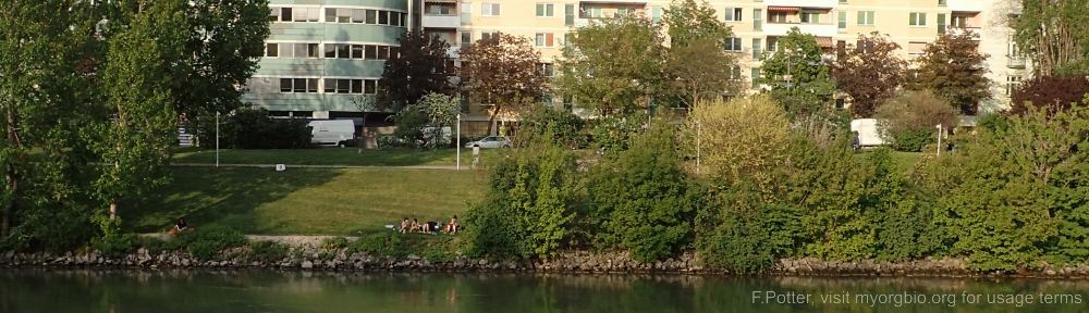 Organizational Biology