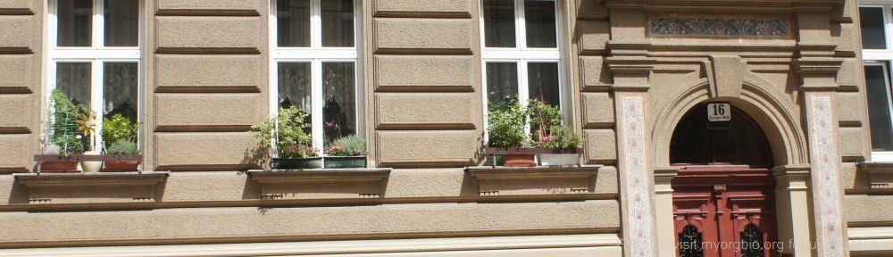 Organizational Biology