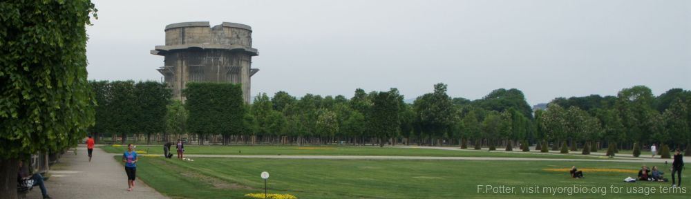 Organizational Biology