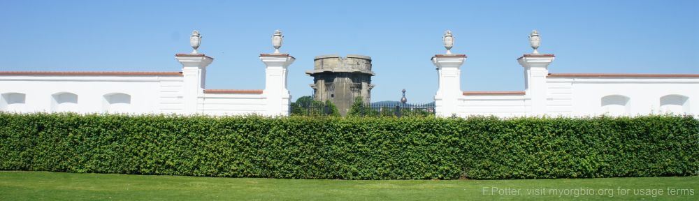 Organizational Biology