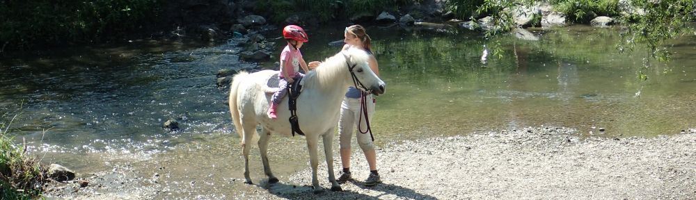 Organizational Biology