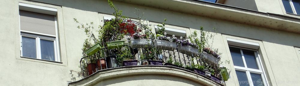 Organizational Biology