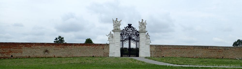 Organizational Biology