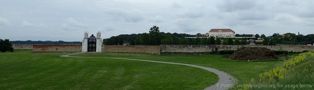 Organizational Biology