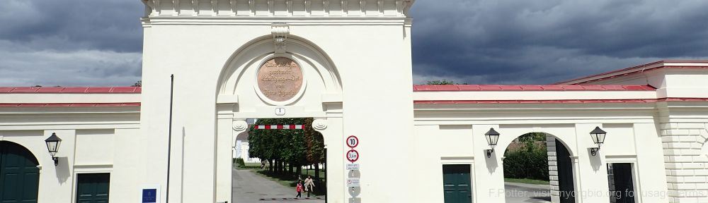 Organizational Biology