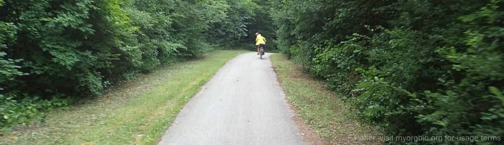 Organizational Biology