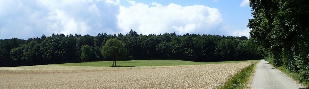 Organizational Biology