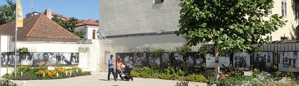 Organizational Biology