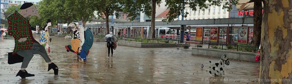 Organizational Biology