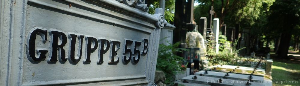 Organizational Biology